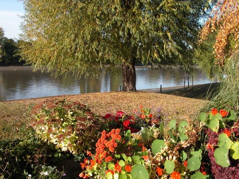 Chiswick Riviera with free parking Bed and Breakfast in Richmond