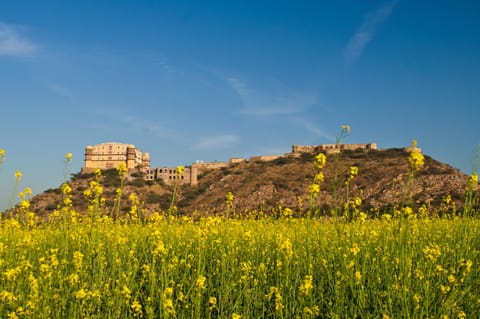 Neemrana's - Tijara Fort Palace Hotel in Haryana