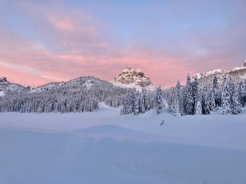 Hotel Dolomiti Des Alpes Hotel in Trentino-South Tyrol