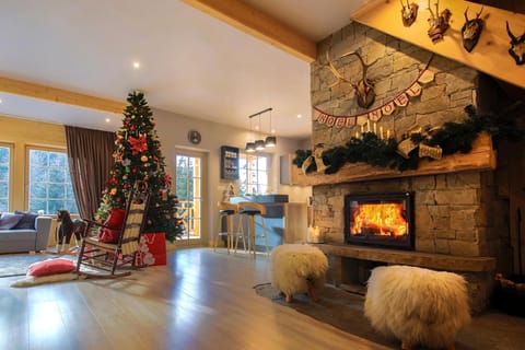 Living room, Decorative detail, Seating area, group of guests