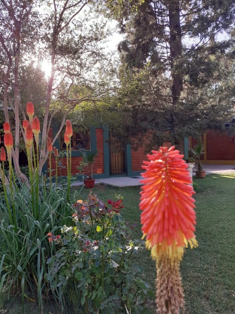 Cabañas Mirmar Mendoza Chalet in Mendoza Province Province