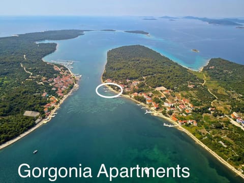 Gorgonia Suites in Verunic Apartment in Zadar County