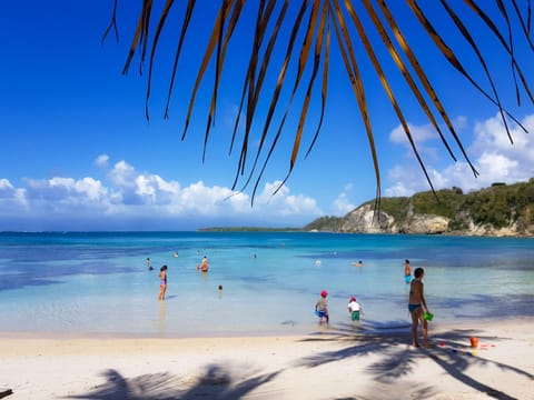 Natural landscape, Beach, Beach