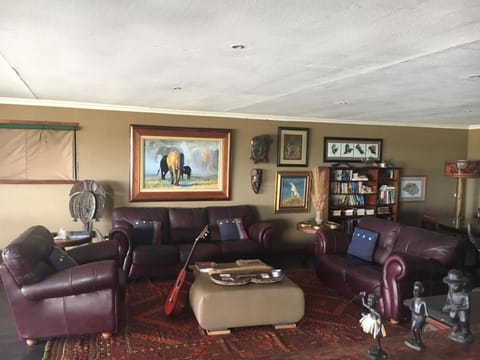 Library, Living room, Photo of the whole room, Decorative detail