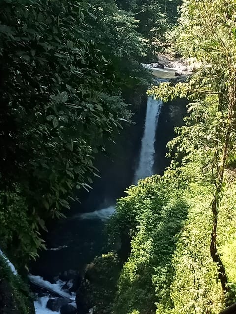 Natural landscape, Hiking, River view