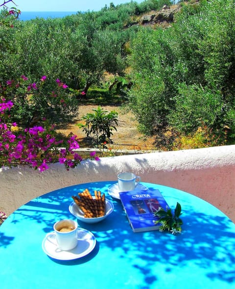 Balcony/Terrace, Garden view