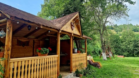 Casa Dorina Farm Stay in Bran