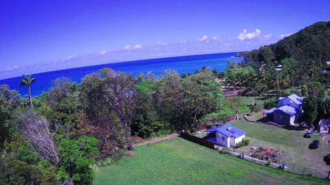 Day, Bird's eye view, On site