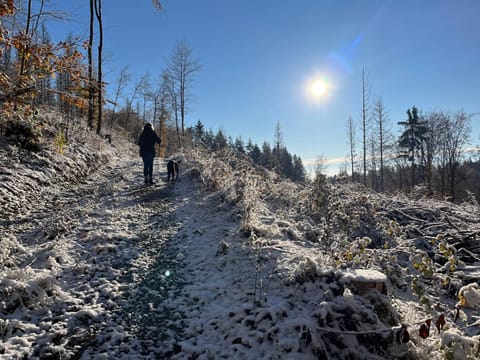 Day, People, Natural landscape, Winter, Hiking