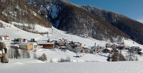 Zangerlehof Farm Stay in Canton of Grisons