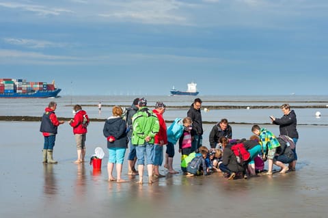 Ferienhof Lafrenz Appartamento in Cuxhaven