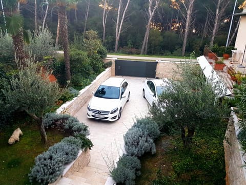 Area and facilities, Parking