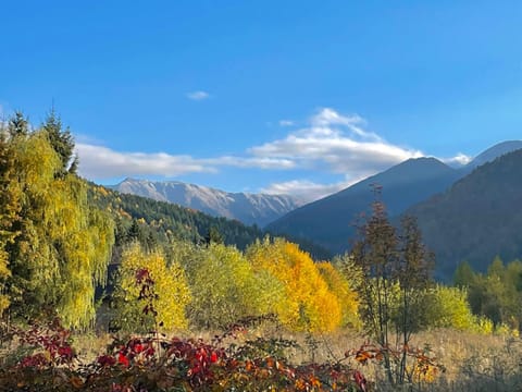 Alpinlife Bed and Breakfast in Brașov County