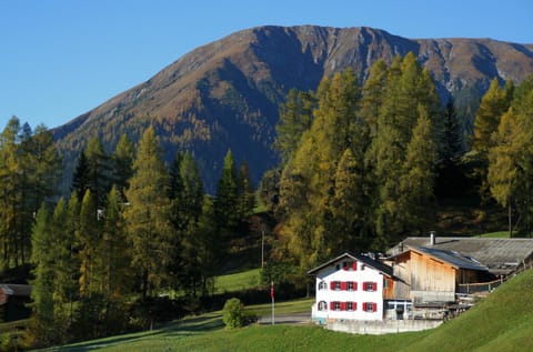 Property building, Mountain view