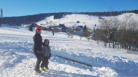 Domek Zieleniec Chalet in Lower Silesian Voivodeship