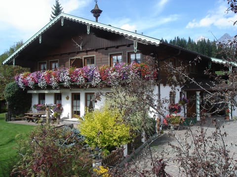 Property building, Bird's eye view, Garden