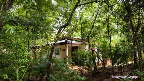 Property building, Garden