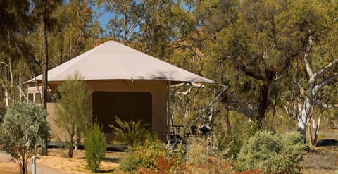 Squeakywindmill Boutique Tent B&B Luxury tent in Northern Territory