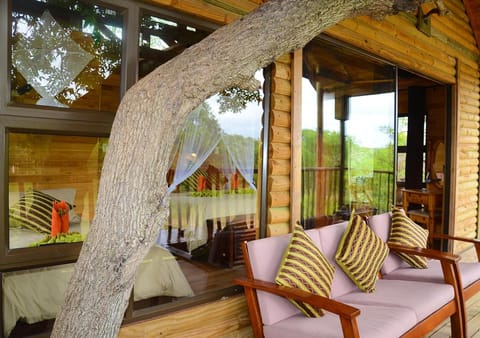 Pezulu Tree House Lodge Nature lodge in South Africa