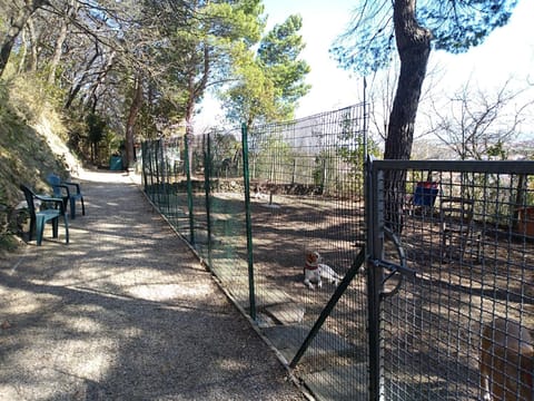 Children play ground, Garden, Pets