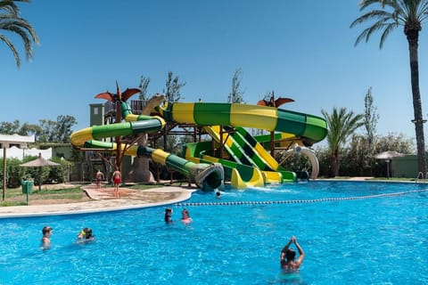 Garden, Swimming pool