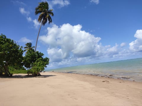 Natural landscape, Beach, Hiking