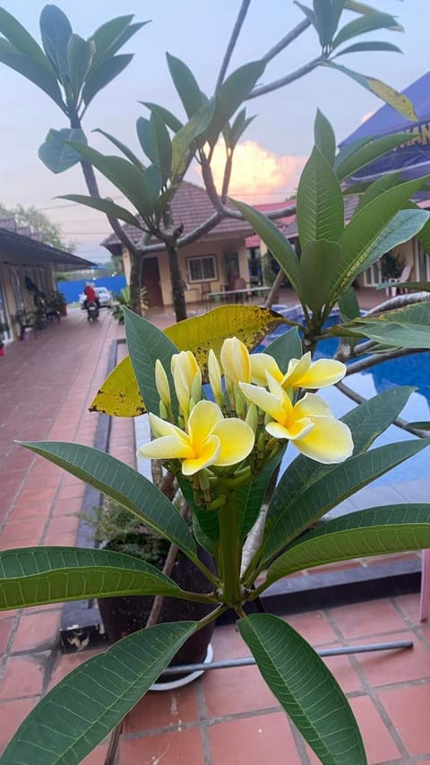 Garden, Garden view