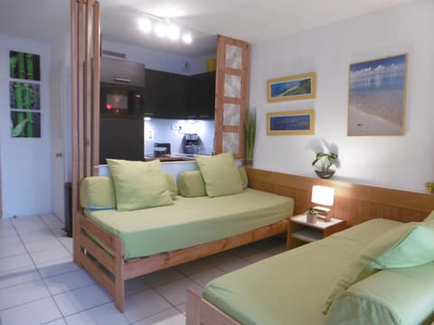 studio Victoria Surf Biarritz Apartment in Biarritz