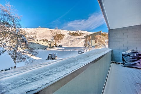 Snow Ski Apartments 40 Condo in Falls Creek