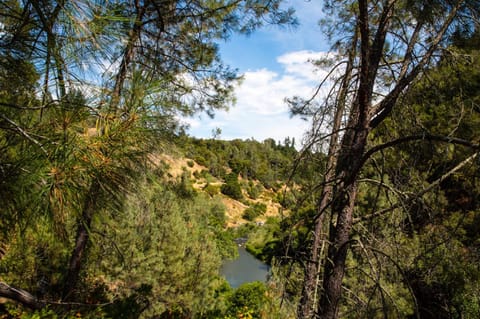 Russian River Camping Resort Studio Cabin 4 Camping /
Complejo de autocaravanas in Russian River