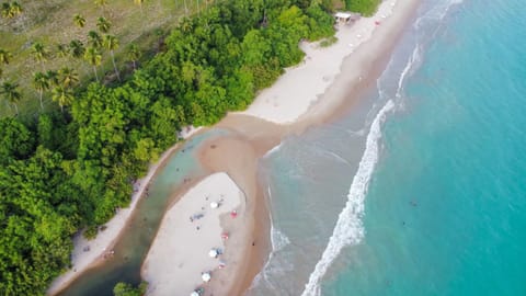 Day, Natural landscape, Beach