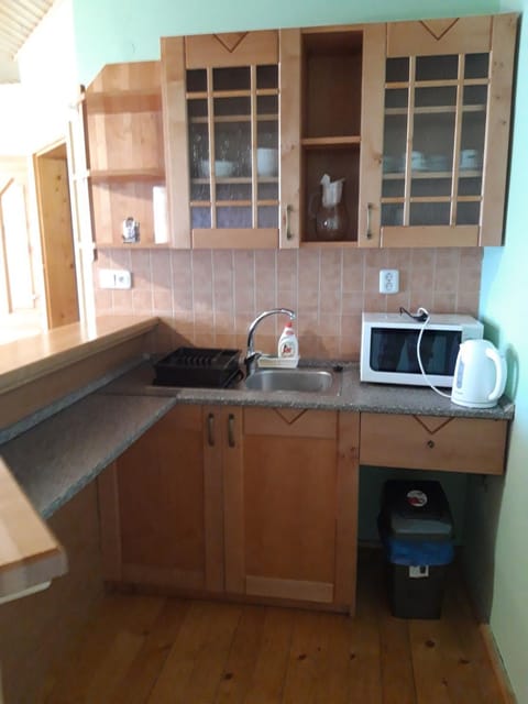 Kitchen or kitchenette, minibar, stove