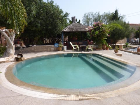 Garden, Swimming pool, Swimming pool