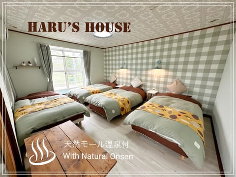 Renewal Haru's House Onsen モール温泉付き House in Hokkaido Prefecture