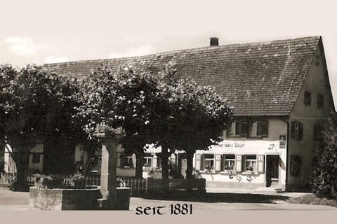 Gasthaus Seehof Hotel in Gaienhofen