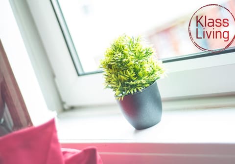 Kenmar House by Klass Living Hamilton House in Hamilton