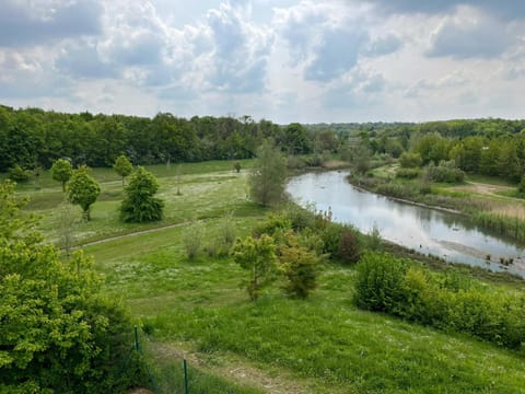 Day, Natural landscape, Lake view