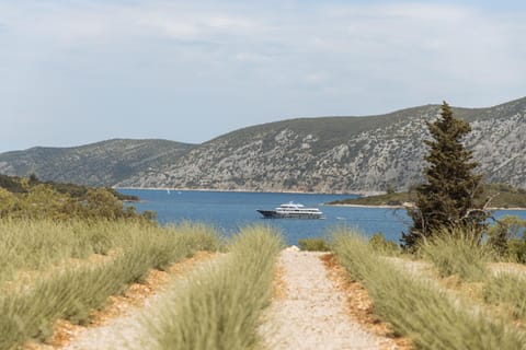 Garden view, Sea view