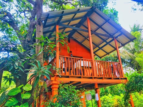 Sigiri Sky Home & TreeHouse Bed and Breakfast in Dambulla