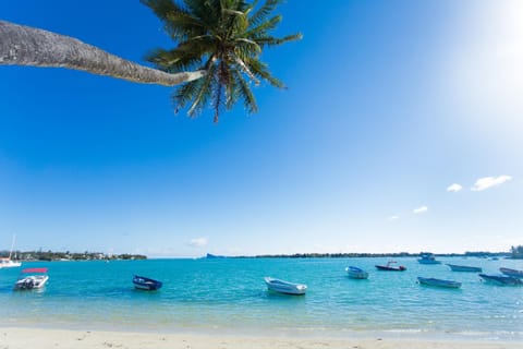 Beach, Sea view