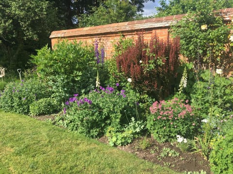 Garden Cottage B&b Übernachtung mit Frühstück in Andover