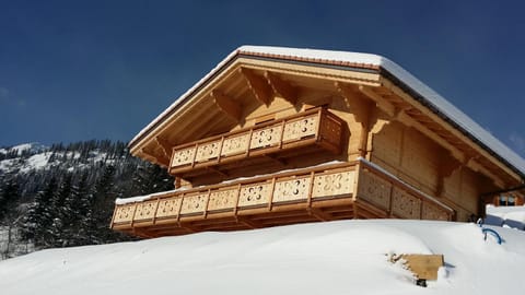 Facade/entrance, Winter