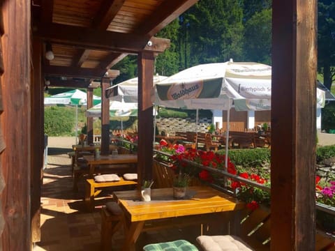 Balcony/Terrace, Garden view