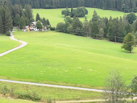 Schwarzwaldgasthaus Salenhof Hotel in Titisee-Neustadt