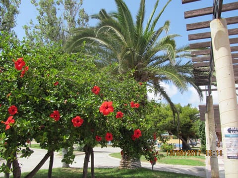 Hacienda Bellamar Copropriété in San Pedro del Pinatar