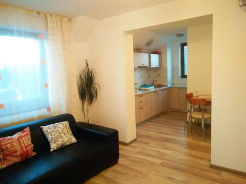 SMB Holiday Apartment Condo in Brasov