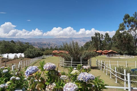 Property building, On site, Garden view