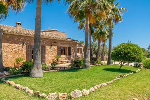 Property building, Garden, Garden view