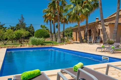 Pool view, Swimming pool, sunbed