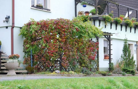 Ferienwohnung Henker Apartment in Bad Schandau